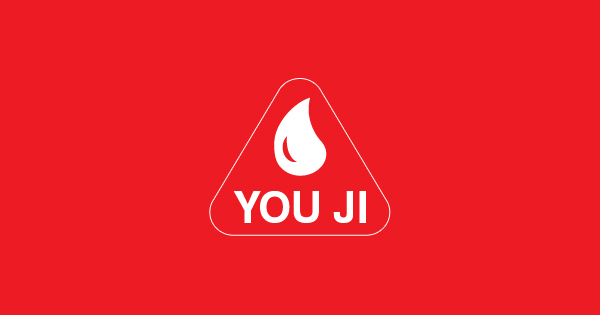 Kingsbury / You Ji YM Series YM40 Series